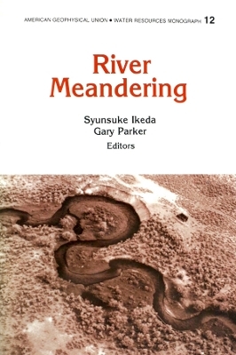 River Meandering - S Ikeda