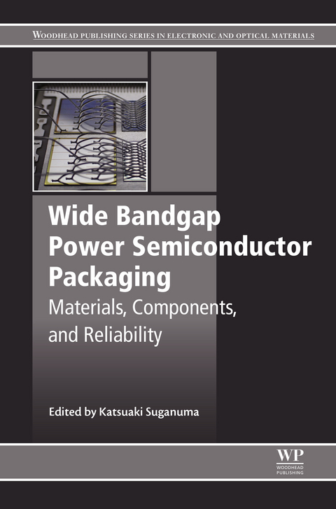 Wide Bandgap Power Semiconductor Packaging - 