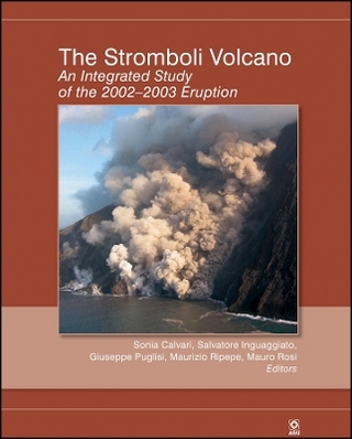 The Stromboli Volcano – An Integrated Study of the  2002–2003 Eruption V182