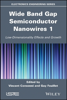 Wide Band Gap Semiconductor Nanowires for Optical Devices &ndash; Low&ndash;Dimensionality Related Effects and Growth - V Consonni