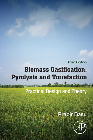 Biomass Gasification, Pyrolysis and Torrefaction