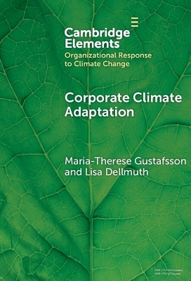 Corporate Climate Adaptation