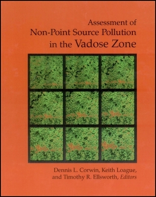 Assessment of Non–Point Source Pollution in the Vadose Zone