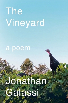 The Vineyard