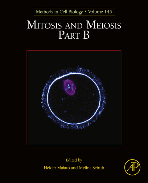 Mitosis and Meiosis Part B - 