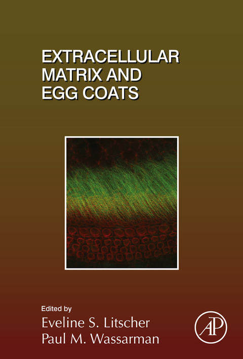 Extracellular Matrix and Egg Coats - 