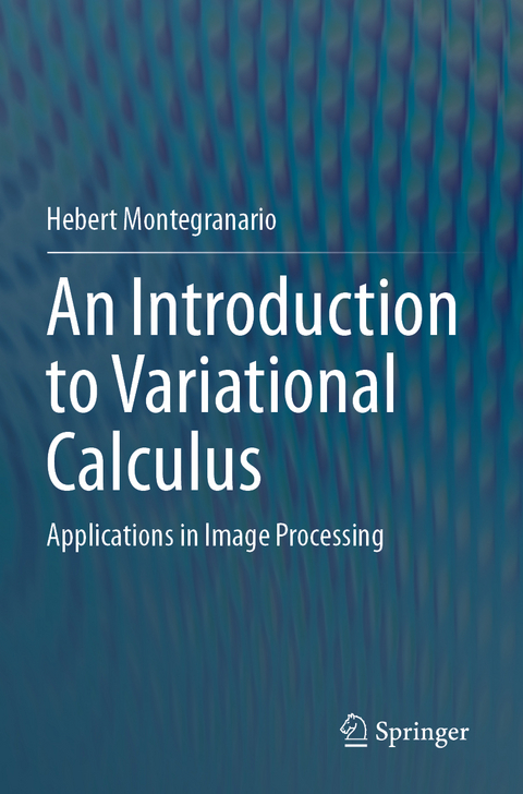 An Introduction to Variational Calculus - Hebert Montegranario