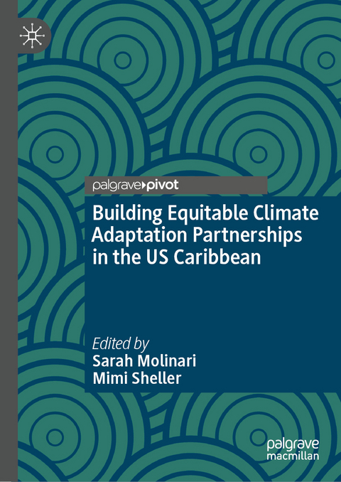 Building Equitable Climate Adaptation Partnerships in the US Caribbean - 