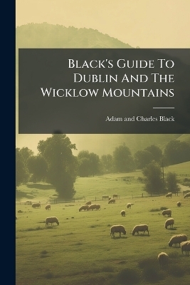 Black's Guide To Dublin And The Wicklow Mountains - 