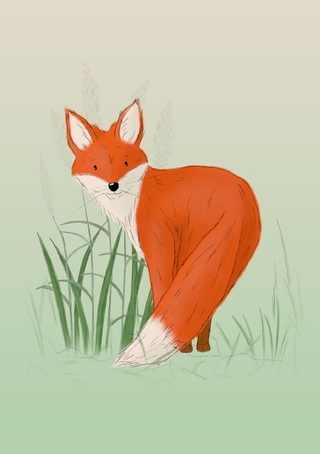 Notizhefte fuchsverliebt / Notizheft fuchsverliebt Enno