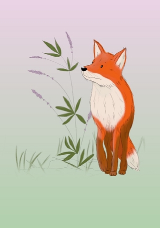 Notizhefte fuchsverliebt / Notizheft fuchsverliebt Waldo