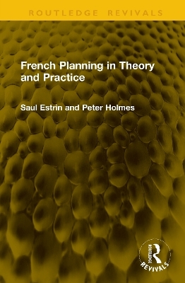 French Planning in Theory and Practice