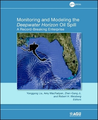 Monitoring and Modeling the Deepwater Horizon Oil Spill – A Record Breaking Enterprise V195