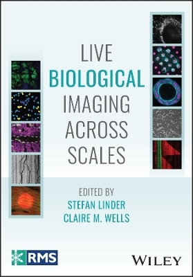 Live Biological Imaging Across Scales - 