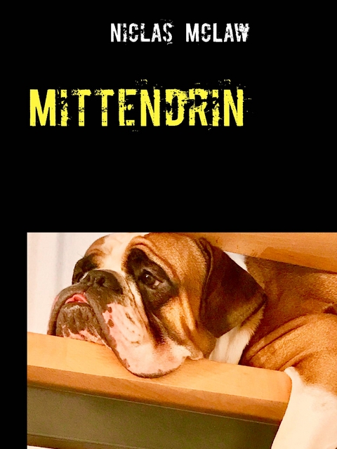 Mittendrin - Niclas McLaw