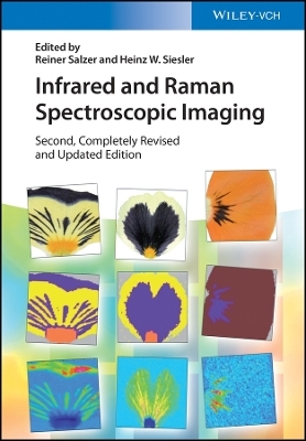 Infrared and Raman Spectroscopic Imaging 2e - 