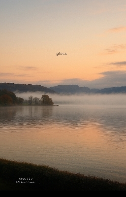 Gloss - Michael Lewis