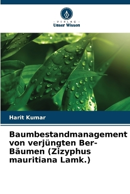Baumbestandmanagement von verjüngten Ber-Bäumen (Zizyphus mauritiana Lamk.)