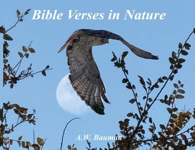 Bible Verses in Nature - Andrew Bauman