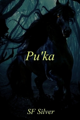 Pu'ka - Sf Silver