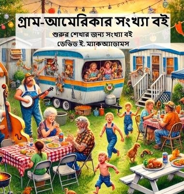 গ্রাম-আমেরিকার সংখ্যা বই - David E McAdams