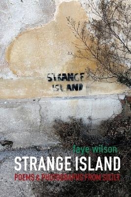 Strange Island - Faye A Wilson