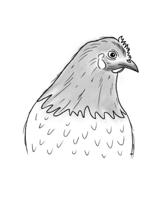 Inky Animals / Notizheft Inky Animals Huhn