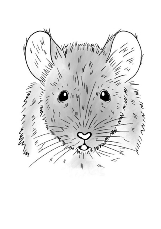 Inky Animals / Notizheft Inky Animals Maus