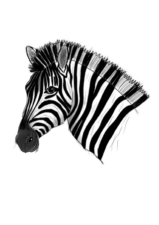 Inky Animals / Notizheft Inky Animals Zebra