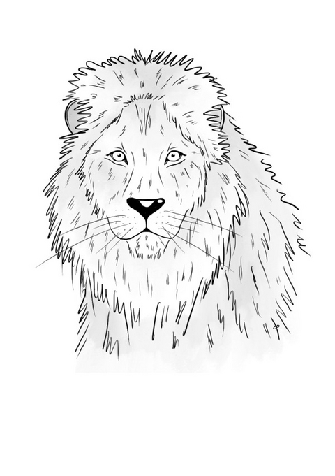 Inky Animals / Notizheft Inky Animals L&ouml;we - Diana Pfister