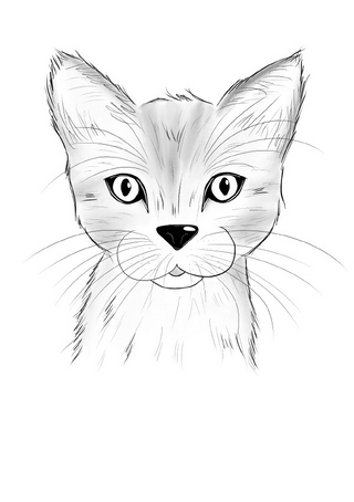 Inky Animals / Notizheft Inky Animals Katze