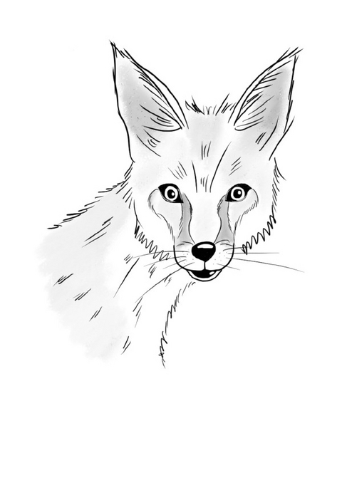 Inky Animals / Notizheft Inky Animals Fuchs - Diana Pfister