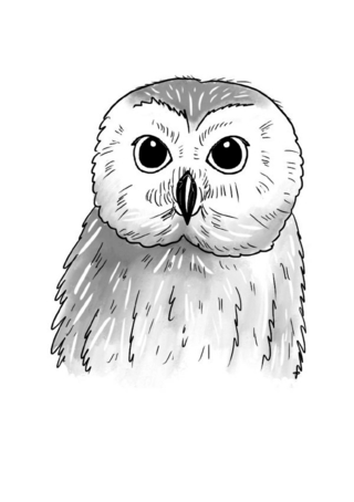 Inky Animals / Notizheft Inky Animals Eule