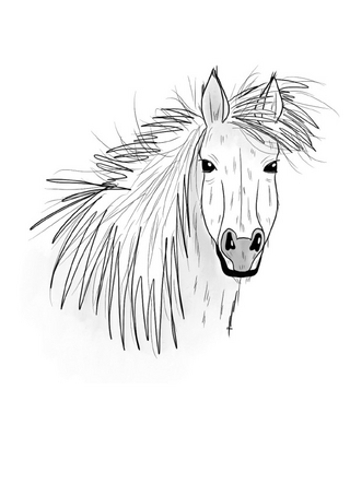 Inky Animals / Notizheft Inky Animals Pferd