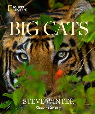 Big Cats - Steve Winter, Sharon Guynup