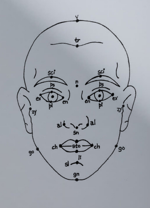 Megan Williams, Sheung Yiu: (Inter)Faces of Predictions - Megan Williams, Sheung Yiu, Eva-Maria Fahrner-Tutsek, Veronika Epple