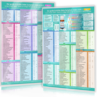 [2er Set] Der große Schüßler-Salze Symptom-Index von A - Z