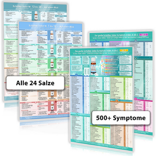 [4er Set] Das komplette Schüßler-Salze-System für Praxis & Alltag