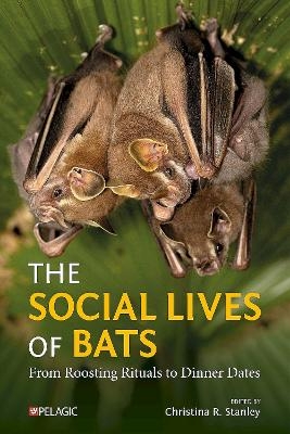 The Social Lives of Bats - 