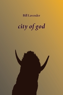 city of god - Bill Lavender