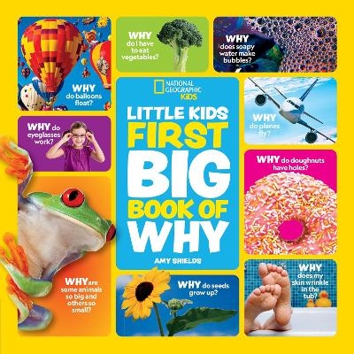 Little Kids First Big Book of Why - Amy Shields
