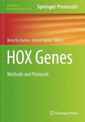 HOX Genes