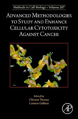 Advanced Methodologies to Study and Enhance Cellular Cytotoxicity Against Cancer - 