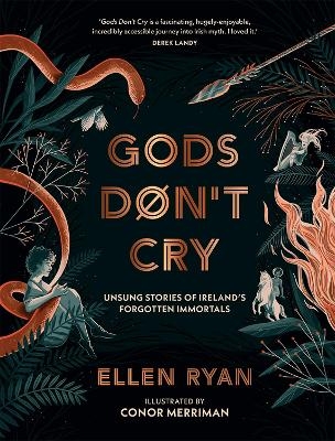 Gods Don&rsquo;t Cry - Ellen Ryan