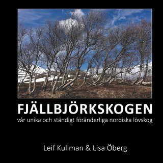 FJÄLLBJÖRKSKOGEN