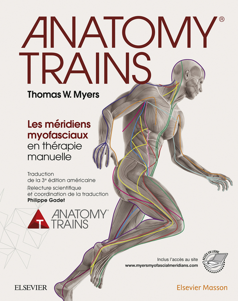 Anatomy Trains -  Thomas W. Myers