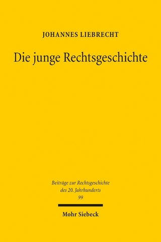 Die junge Rechtsgeschichte