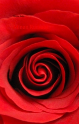 Minun Ruusuni - Minna Keitu