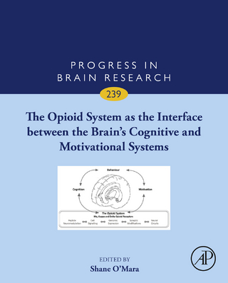 Opioid System as the Interface between the Brain's Cognitive and Motivational Systems
