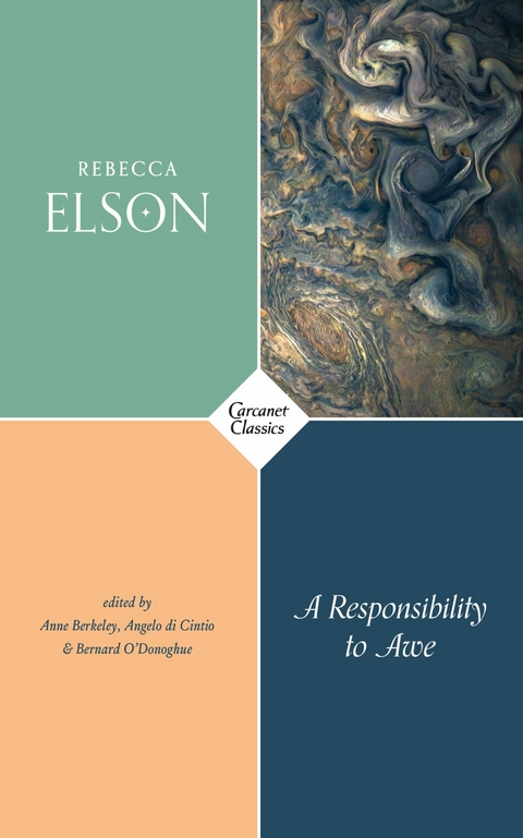 Responsibility to Awe -  Rebecca Elson